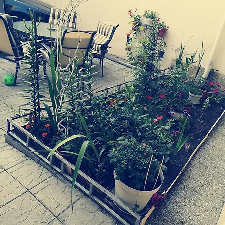 Anisia Maison בית אירוח קונסטנצה